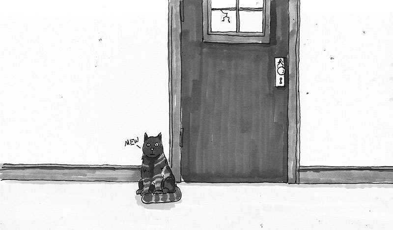 a cat mews by the door