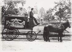 1800's horse drawn hearse